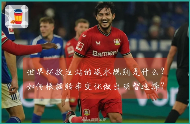 世界杯投注站的返水规则是什么？如何根据赔率变化做出明智选择？