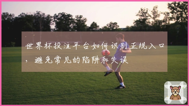 世界杯投注平台如何识别正规入口，避免常见的陷阱和失误